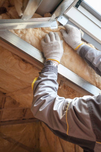 Best Specialized Insulation Services in Lewisburg, TN