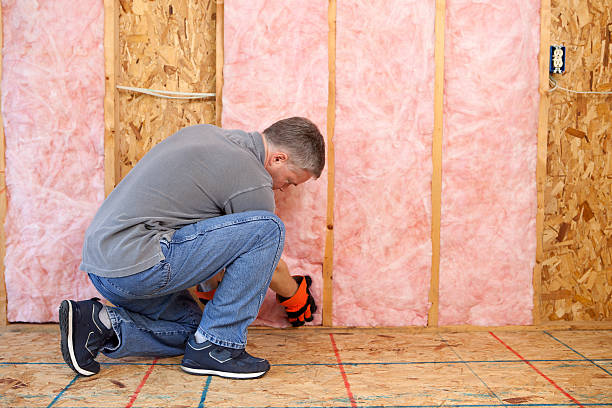 Best Fiberglass Insulation in Lewisburg, TN