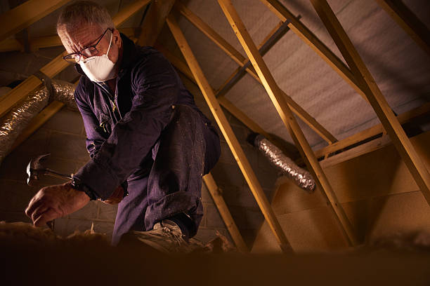 Best Residential Insulation in Lewisburg, TN